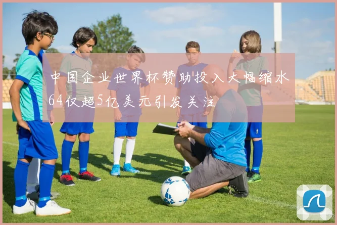 中国企业世界杯赞助投入大幅缩水64仅超5亿美元引发关注